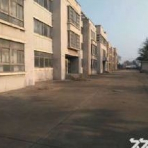 自贸区办公商业厂房出租