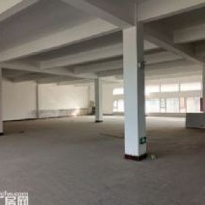 标准已装修新厂房出租