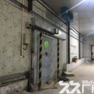 标准冷库、标准厂房出租（唯一都市工业园 李村东）