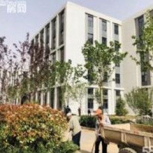 捡漏厂房 800平 200多万