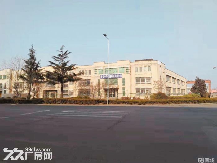 自贸区办公商业厂房出租-图3