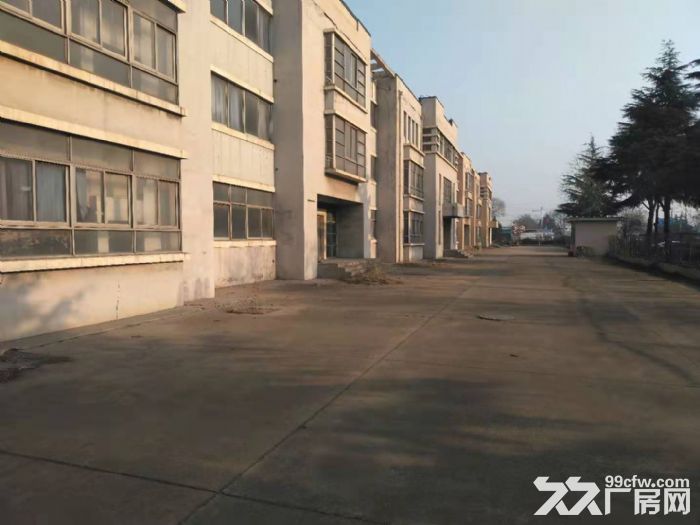 自贸区办公商业厂房出租