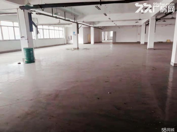 自贸区办公商业厂房出租-图4