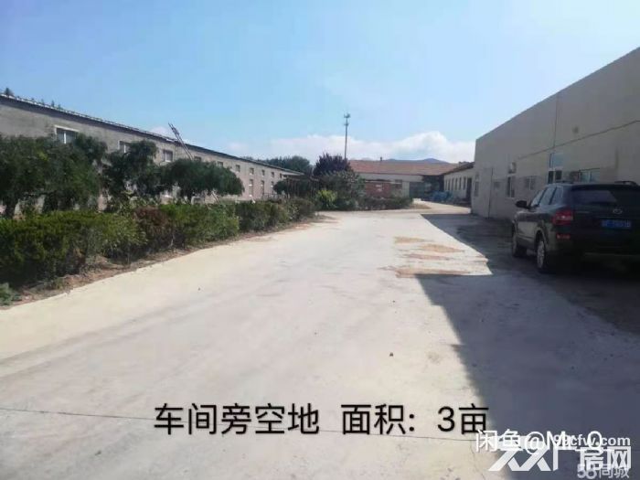低价出租位置绝佳城阳惜福镇厂房