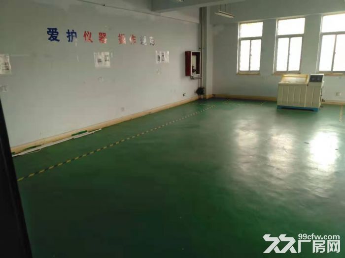 黄岛区自贸核心区5000平厂房出租-图2