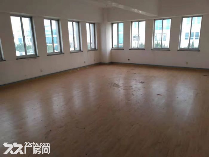 黄岛区自贸核心区5000平厂房出租