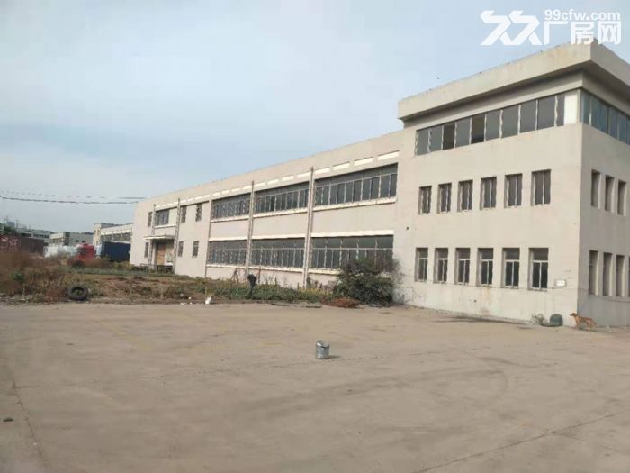 黄岛区自贸核心区5000平厂房出租-图3