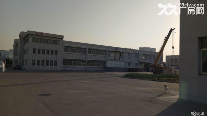 黄岛区黄河路厂房出租招商