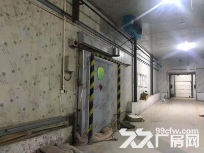 标准冷库、标准厂房出租（唯一都市工业园 李村东）