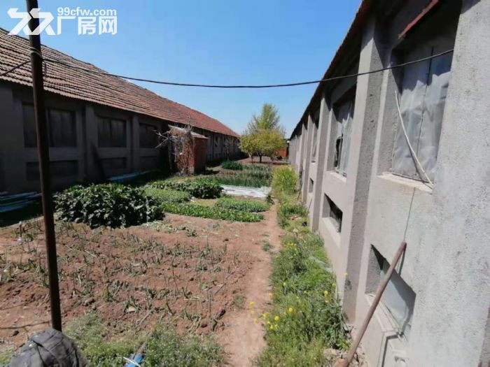 出租上马邱家村三间厂房每间3米高、9米宽、45米长带院子-图5