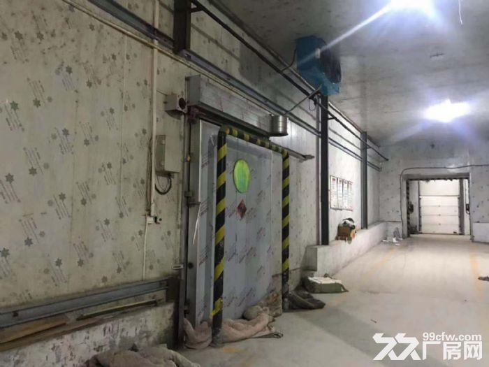 标准冷库(青岛市唯一都市工业园 李村东)